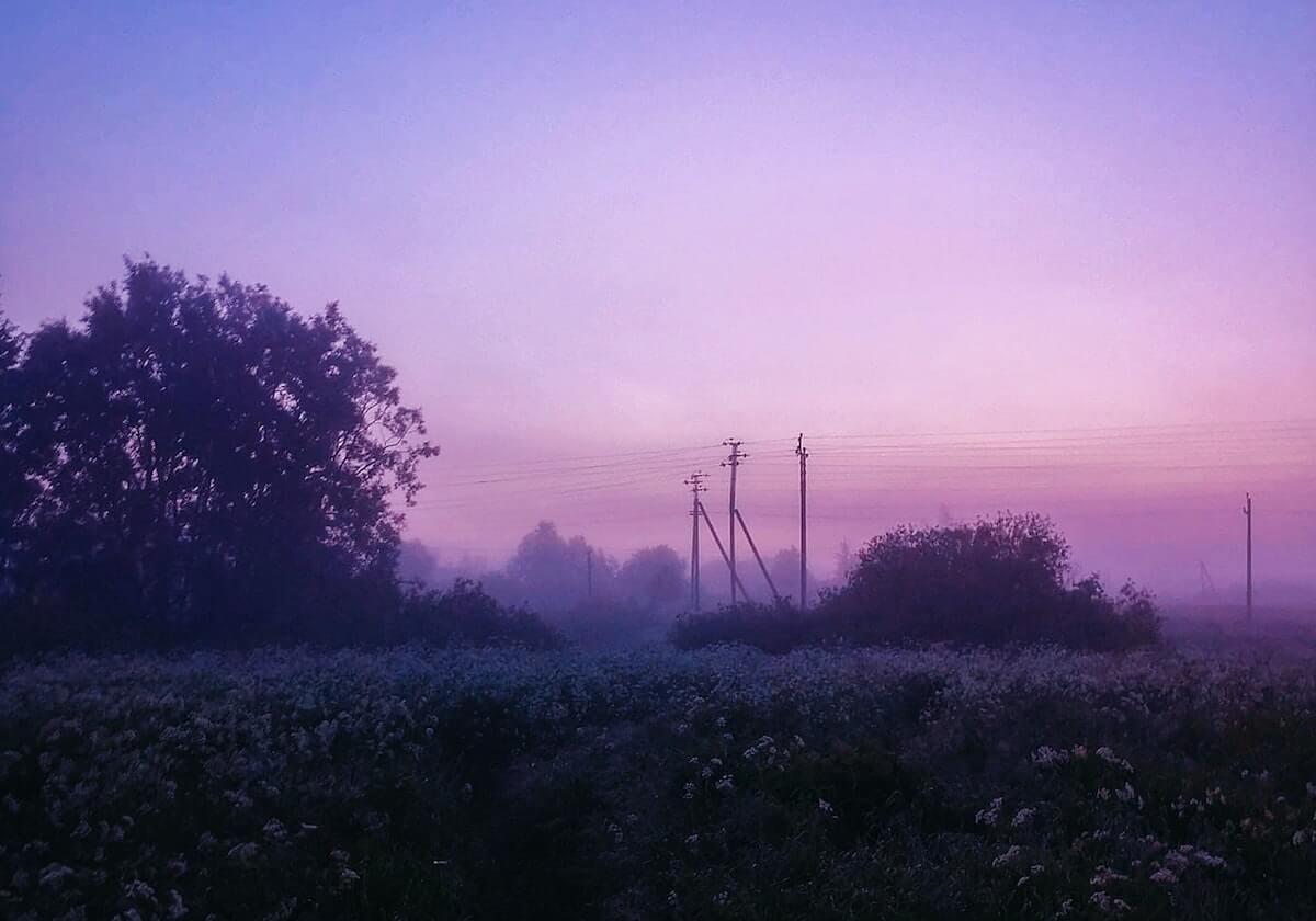 开云官网：数字生活的新入口，信任与体验同行